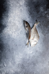 Fresh uncooked Dorado or sea bream fish