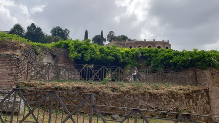 flora and roman forum. Italy