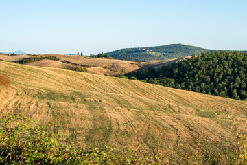 Fields cultivated in late summer on the Sienese hills