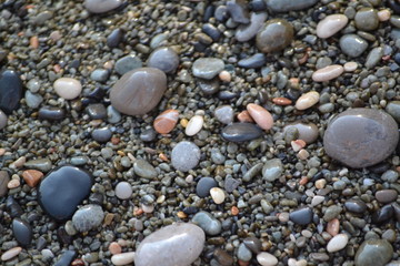 sea ​​stones