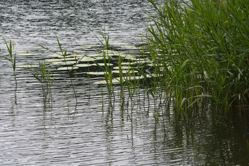 gathering some nice details during a walk through German landscape