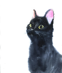Realistic illustration of black watercolour cat looking up isolated on white