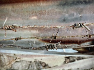 Old barbed wire on the fence