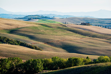 Fields cultivated in late summer on the Sienese hills