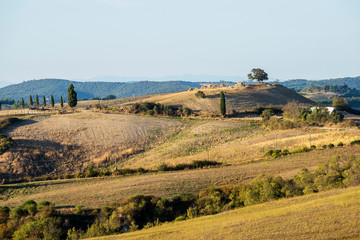Fields cultivated in late summer on the Sienese hills