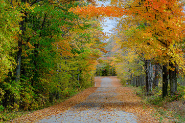 553-27 Birchwood Road Autumn