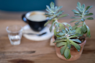 cup of tea with flowers