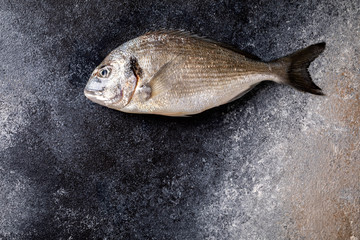 Fototapeta premium Fresh uncooked Dorado or sea bream fish