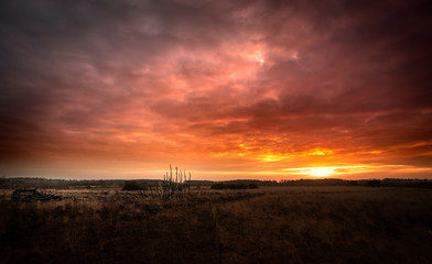 Sky on fire. Sunset at national park de groote peel in Limburg and North Brabant, the Netherlands. Sunrise and sunset in the Netherlands on a winter landscape between Eindhoven and Venlo.