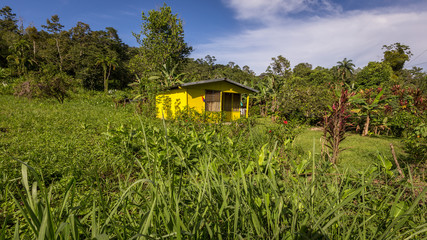 Fototapeta na wymiar traditional wooden house built on stilts, Costa Rica Caribbean region