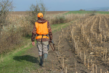 Naklejka na ściany i meble A man with a gun in his hands and an orange vest on a pheasant hunt in a wooded area in cloudy weather. Hunter with dogs in search of game.