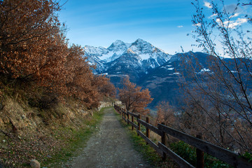 italian mountain alps panorama from forest