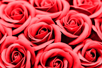 Romantic red roses flower bright background. Valentines day concept.