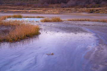 Old Crater in Manziana - carbon dioxide coming out of the earth through water and forming bubbles