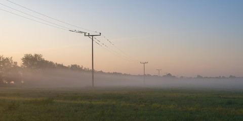 Fototapeta na wymiar Power poles on a fog covered field