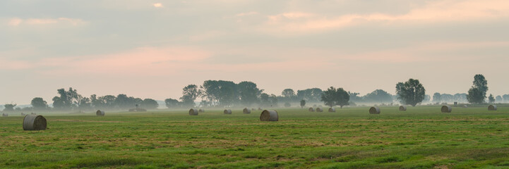 Hay bales in fog on a harvested field on autumn morning