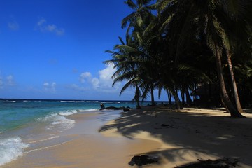 kleine Wellen, weißer Sand und Palmen