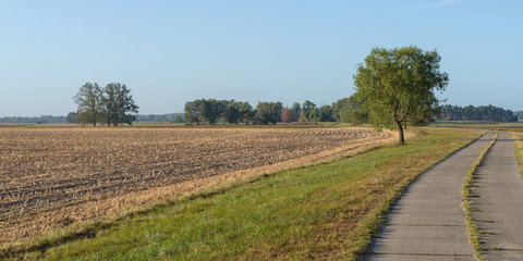 Fototapeta na wymiar Field path next to a harvested field in Brandenburg