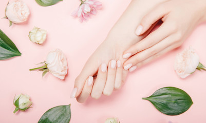 Concept beauty. Beautiful stylish trendy female pink manicure with flower on background, top view