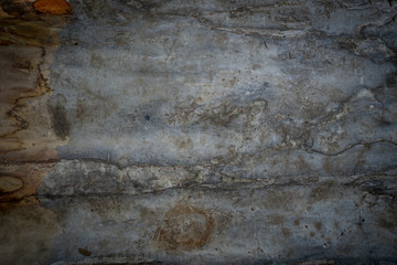 Textured marble wall use for background.