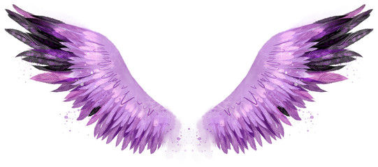 beautiful magic watercolor pink purple black wings