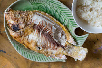 Grill tilapia on ceramic plate.