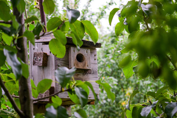 A homemade birdhouse placed in the middle of the nature, waiting for a bird to come
