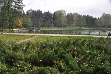 Lakeside Park with Evergreen Shrubs in Autumn
