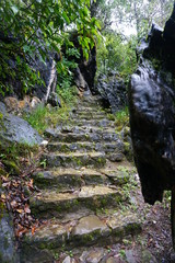 Nature Staircase