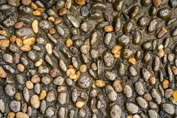 Textured small brown stones background.
