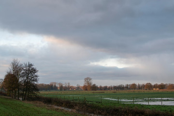 Fototapeta na wymiar Morgenstimmung im Bruch von Bünde in Ostwestfalen, die Flußniederung der Else.