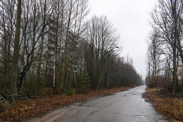 Abandoned ghost town Prypiat. Overgrown trees and collapsing buildings in Chornobyl exclusion zone....