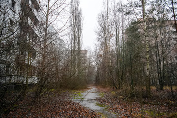 Abandoned ghost town Prypiat. Overgrown trees and collapsing buildings in Chornobyl exclusion zone. December 2019