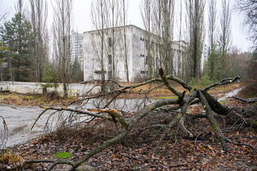 Abandoned ghost town Prypiat. Overgrown trees and collapsing buildings in Chornobyl exclusion zone....