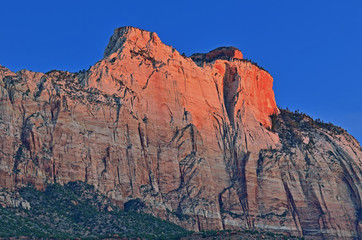 Naklejka premium Landscape of stone cliff at sunrise, Zion National Park, Utah, USA