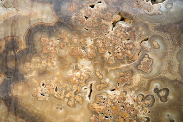 Vintage textured marble seat.