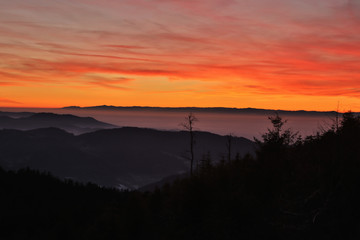 beautiful Black Forest at sunset - Mummelsee, Germany
