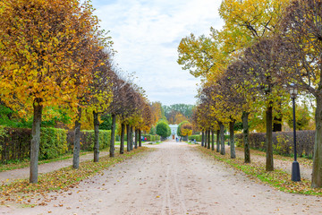 Naklejka premium The alley is surrounded by autumn trees. Golden autumn is in the old Park. Kuskovo, Moscow, Russia.