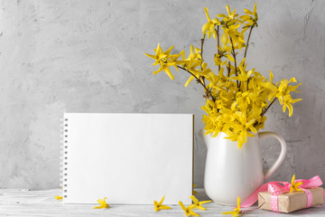 Still life with a beautiful spring yellow forsythia flowers, gift box and blank paper notebook on concrete background