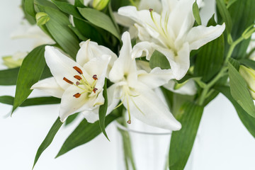 Beautiful blooming lily at white wall