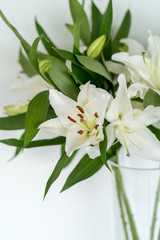 Fototapeta premium Beautiful blooming lily at white wall