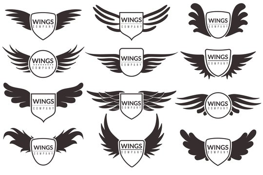 Wings logo. Winged emblems, angel and phoenix wings heraldic symbols, sign for brand, certificate and stickers vintage vector badges