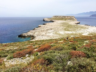 arid coast line with some colorful plants and deep blue ocean