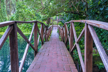 Arched bridge on a lake, Tanzania, Africa. Footbridge over a pond