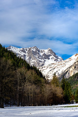 Alpen