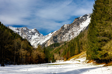 Alpen