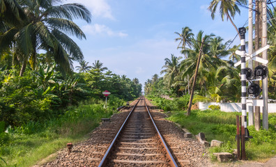 The railway is the most important transport communication on the island of Sri Lanka