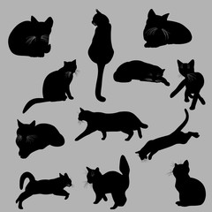 Cats collection silhouette.Vector illustration. Black on grey
