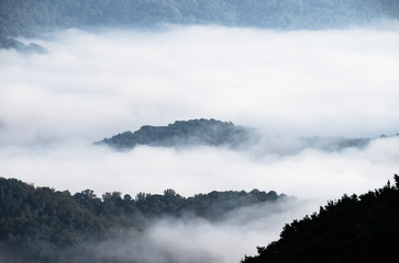 Foggy Morning in the Mountain Valleys