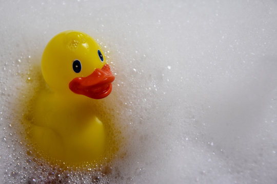 Yellow rubber duck in the bath stock images. Bath with foam images. Bath with duck. Yellow plastic duck in the bath stock images